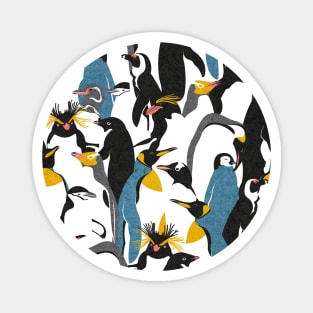 We love penguins // black white grey dark teal yellow and coral type species of penguins (King, African, Emperor, Gentoo, Galápagos, Macaroni, Adèlie, Rockhopper, Yellow-eyed, Chinstrap) Magnet